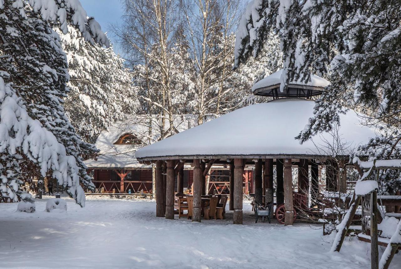 Maciejowka Borki 33 Villa Eksteriør billede