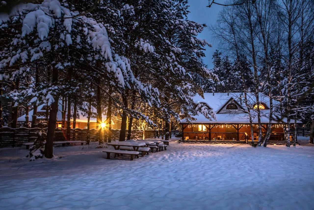 Maciejowka Borki 33 Villa Eksteriør billede